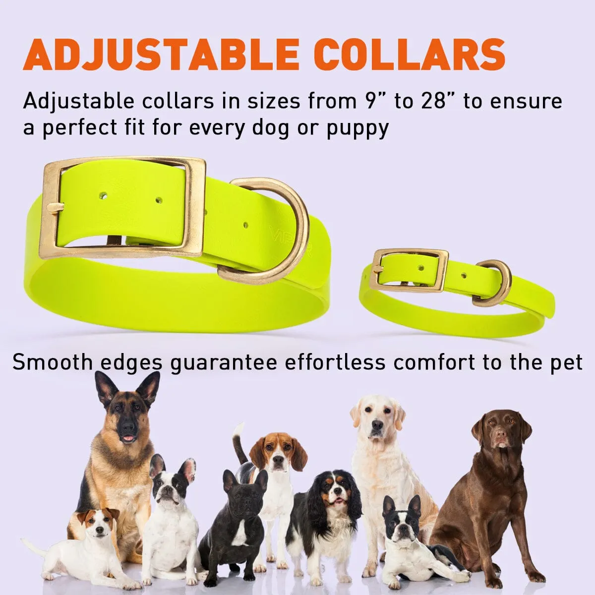 Viper Biothane Waterproof Dog Collar - Brass Hardware - Wide - Size L (16" - 20")