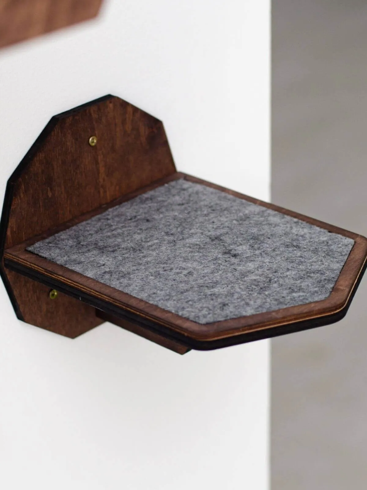 Wall Steps for Cats
