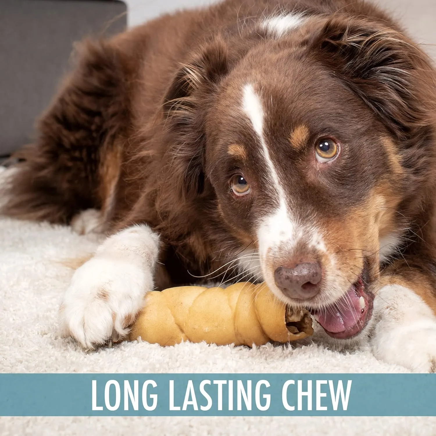 Water Buffalo Retriever Style Cheek Roll Dog Chews-5 Pack (Long Lasting Chews, Treats, Bones for Aggressive Chewers & Large Dogs) Great Substitute Pig Ears Dogs