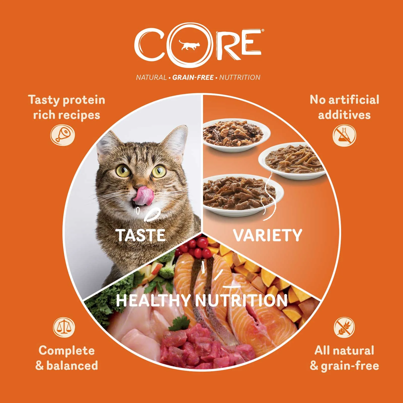 WELLNESS CORE Cat Flaked Skipjack Tuna with Shrimp Entree in Broth 79g