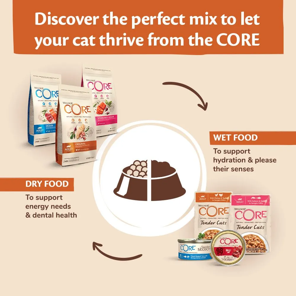 WELLNESS CORE Cat Flaked Skipjack Tuna with Shrimp Entree in Broth 79g