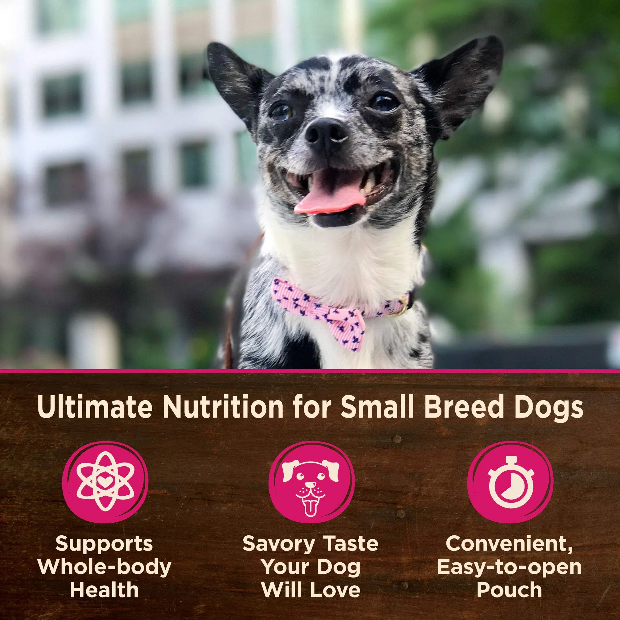Wellness Core Mini Meals Chunky Chicken and Tuna in Gravy Small-Breed Wet Dog Food Pouch - Variety Pack - 3 Oz - Case of 12 - 2 Pack