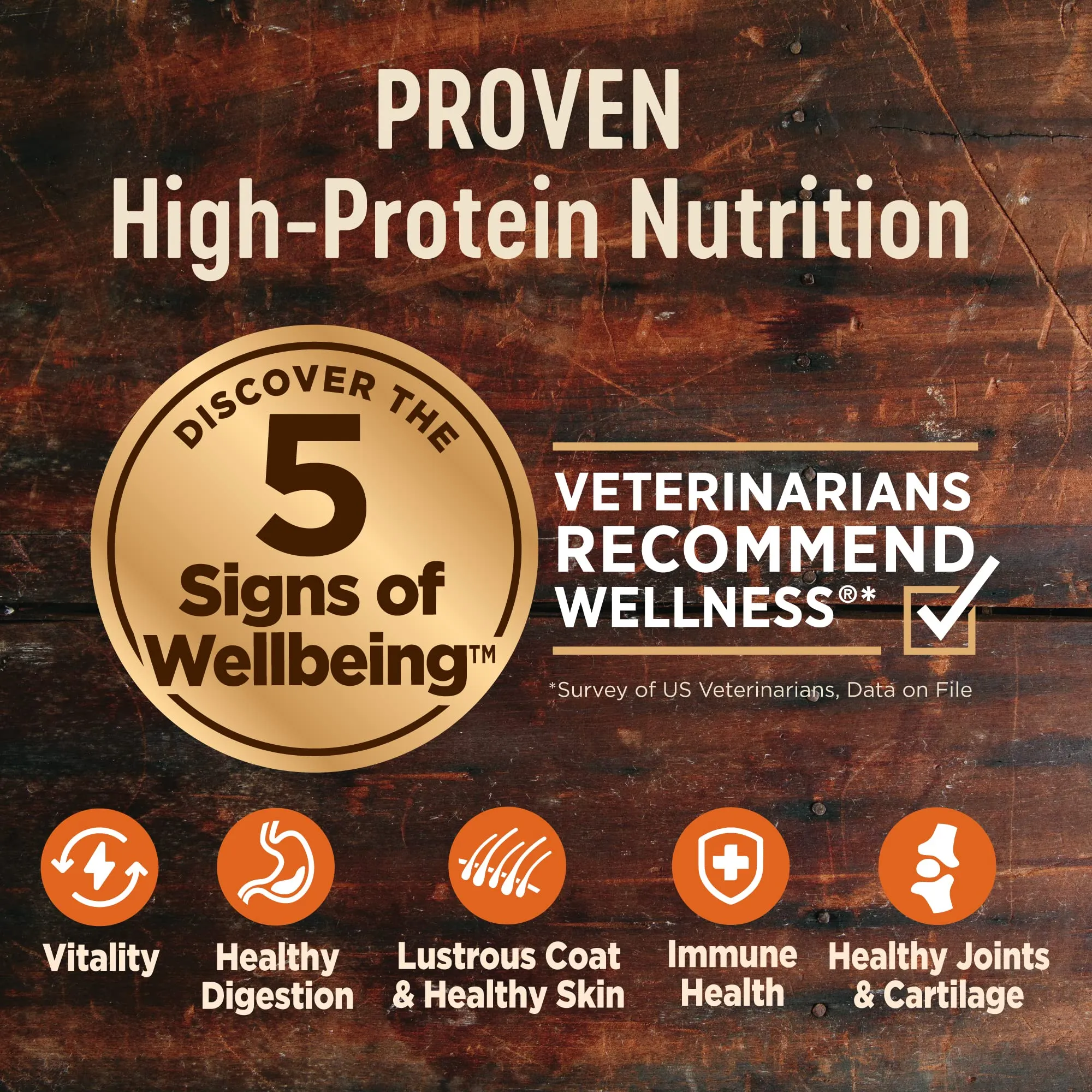 Wellness Core Natural Grain-Free Deboned Chicken and Turkey Large-Breed Puppy Formula Dry Dog Food - 24 Lbs
