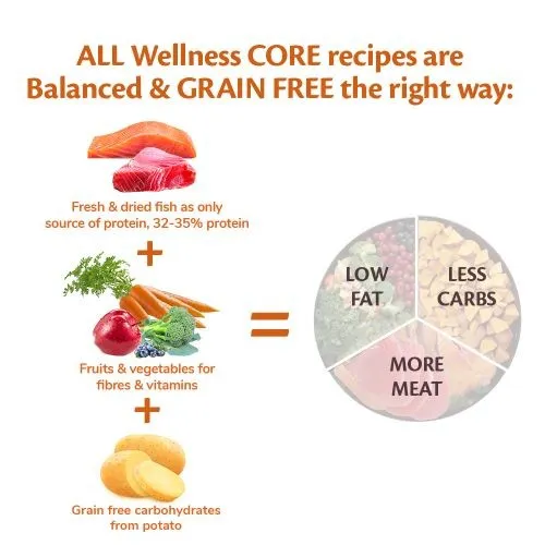 Wellness Core Ocean Fish Salmon and Tuna Grain Free Adult Dry Dog Food 10kg   2kg Free