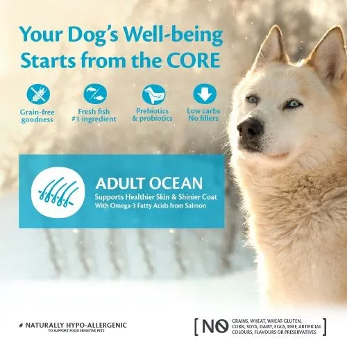 Wellness Core Ocean Fish Salmon and Tuna Grain Free Adult Dry Dog Food 10kg   2kg Free