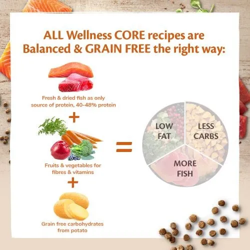 Wellness Core Ocean Fish Salmon and Tuna Grain Free Adult Dry Dog Food 10kg   2kg Free