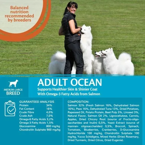 Wellness Core Ocean Fish Salmon and Tuna Grain Free Adult Dry Dog Food 10kg   2kg Free