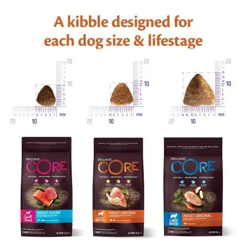 Wellness Core Ocean Fish Salmon and Tuna Grain Free Adult Dry Dog Food 10kg   2kg Free