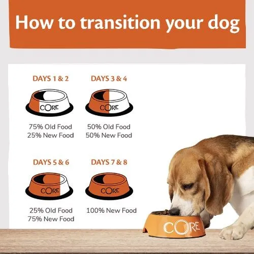 Wellness Core Ocean Fish Salmon and Tuna Grain Free Adult Dry Dog Food 10kg   2kg Free