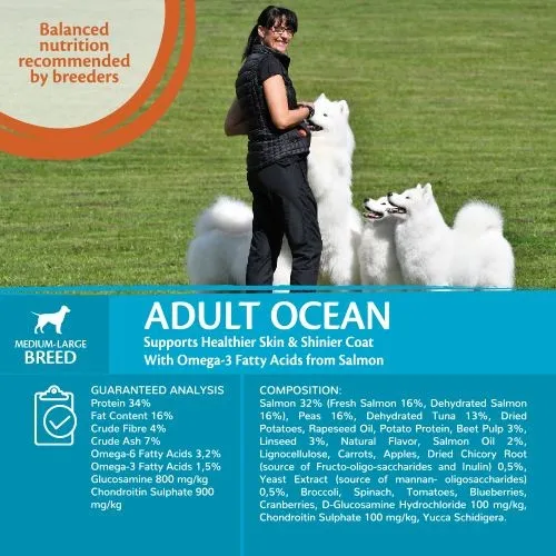 Wellness CORE Ocean Fish Salmon and Tuna Grain Free Adult Dry Dog Food 10kg