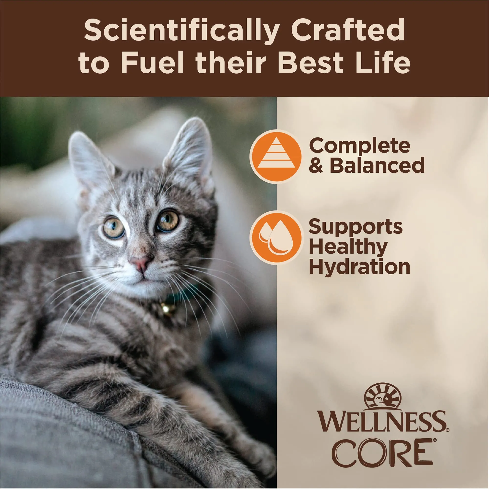 Wellness Core Tiny Tasters Grain-Free Minced Chicken in Gravy Adult Wet Cat Food Pouch - 1.75 Oz - Case of 12