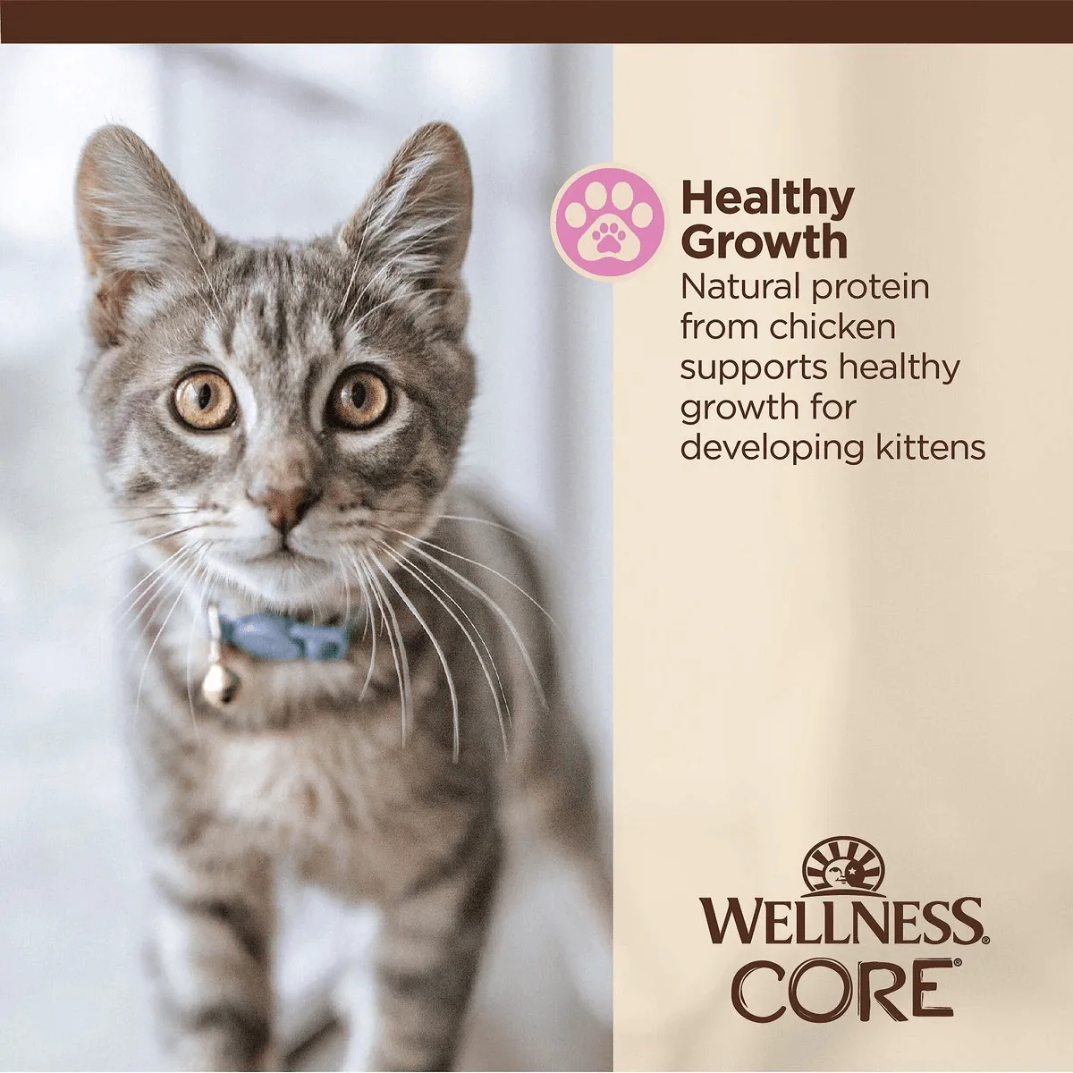 Wellness CORE Tiny Tasters Kitten Pâté Chicken Recipe in Sauce Wet Cat Food