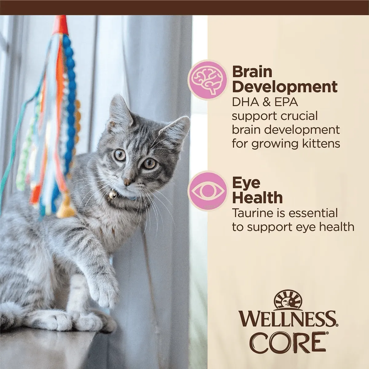 Wellness CORE Tiny Tasters Kitten Pâté Chicken Recipe in Sauce Wet Cat Food
