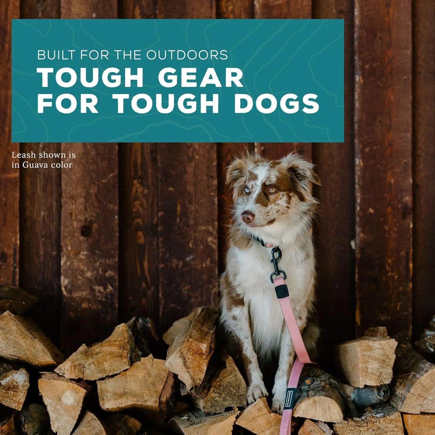 Wilderdog Waterproof Dog Leash - Repels Water & Dirt - Guava