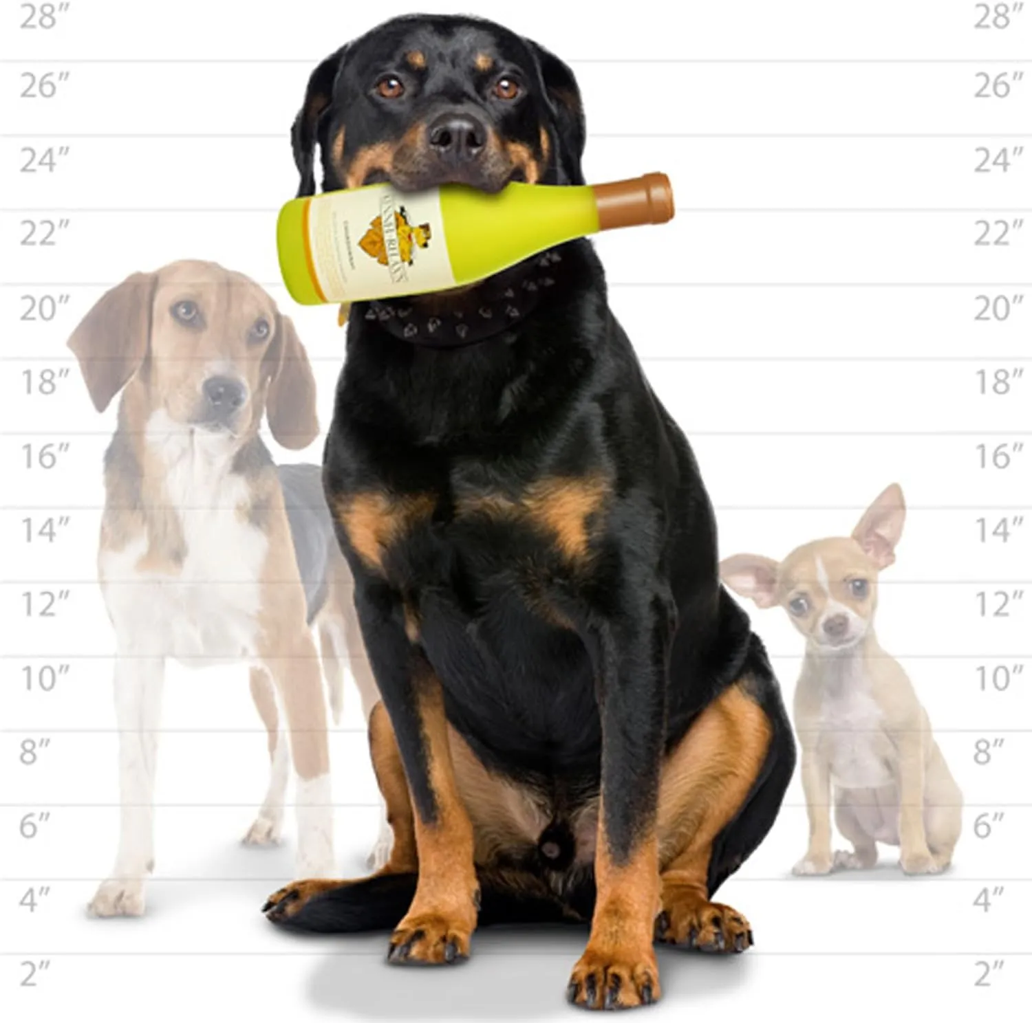  Wine Bottles - Dog Toy - 100% Vinyl. Made Durable & Strong. Novelty Play Toy & It Floats (Kennel Relaxin)